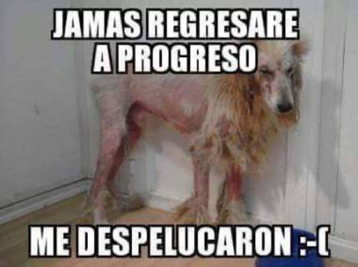 ¡BURLAS! Baleadas, semitas y el portero Sandro Cárcamo protagonizan los memes de la final