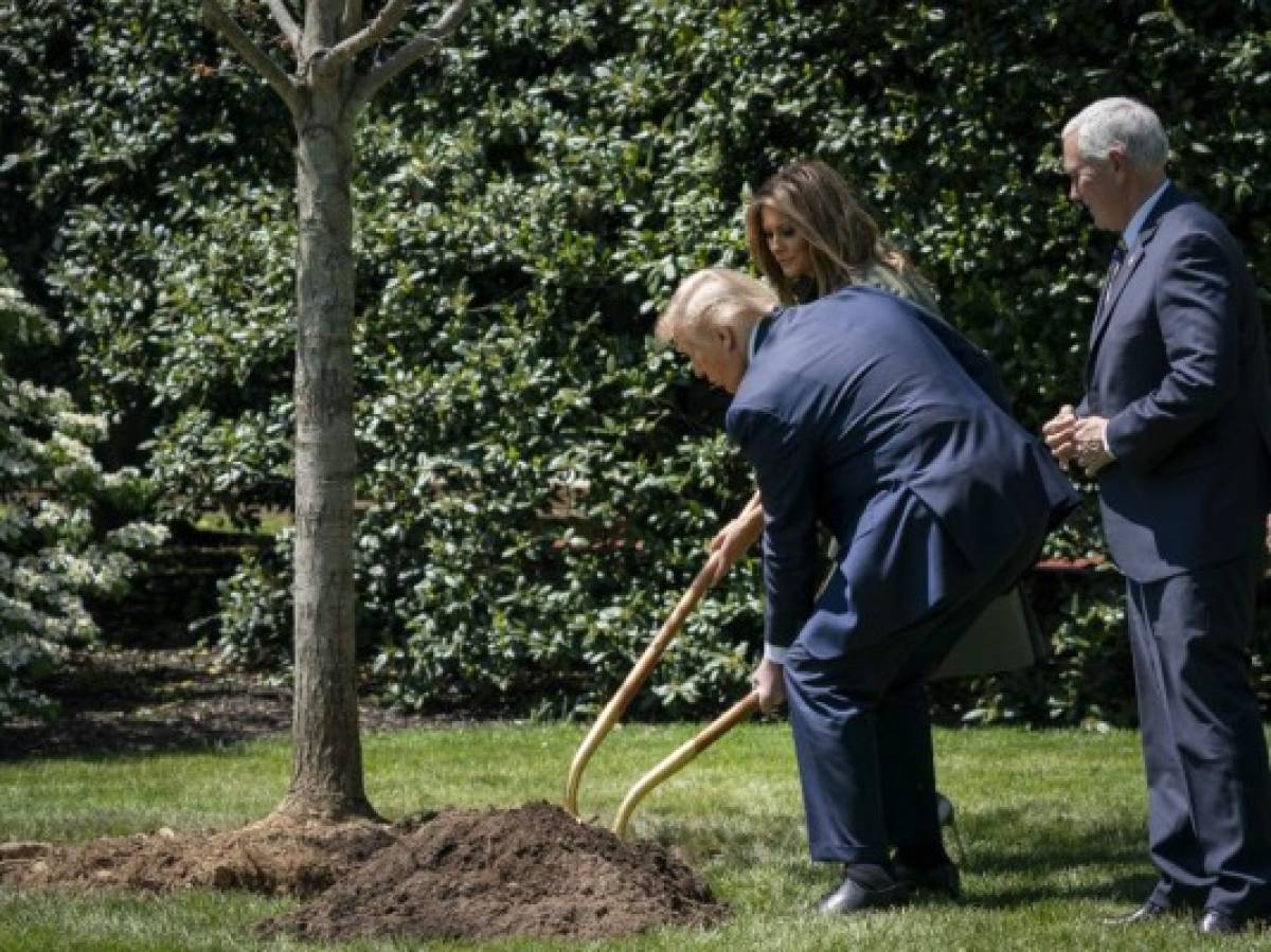 WASHINGTON, DC - APRIL 22: U.S. President Donald Trump and first lady Melania Trump participate in a tree planting ceremony in recognition of Earth Day and Arbor Day on the South Lawn of the White House on April 22, 2020 in Washington, DC. Drew Angerer/Getty Images/AFP