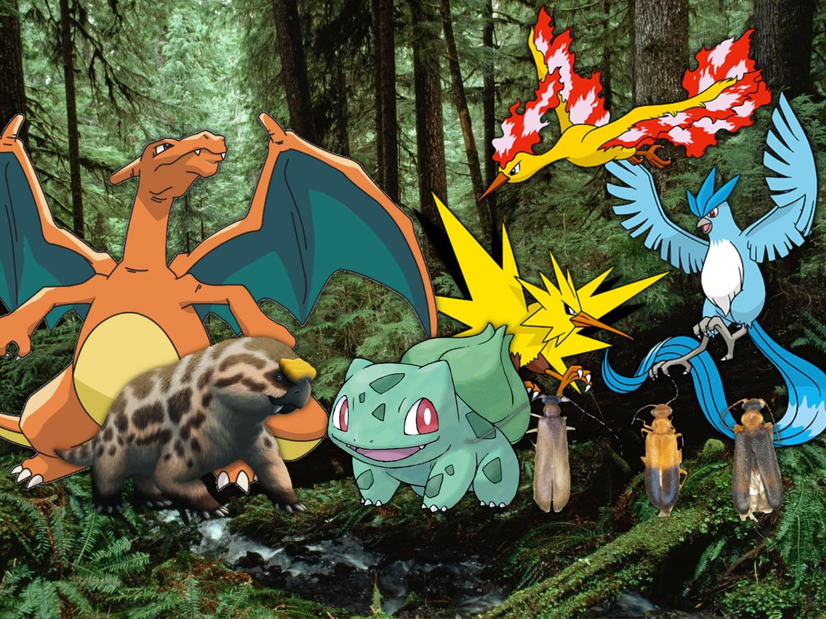 ¿Conocías estos animales reales nombrados en honor a especies de Pokémon?