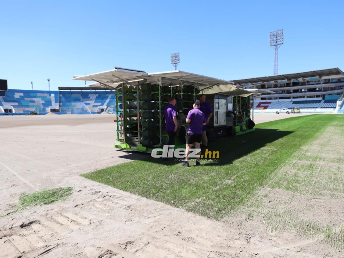 ¡Como mesa de billar! Así avanza la instalación de la nueva grama del Estadio Nacional Chelato Uclés, ¿cuándo quedaría lista?
