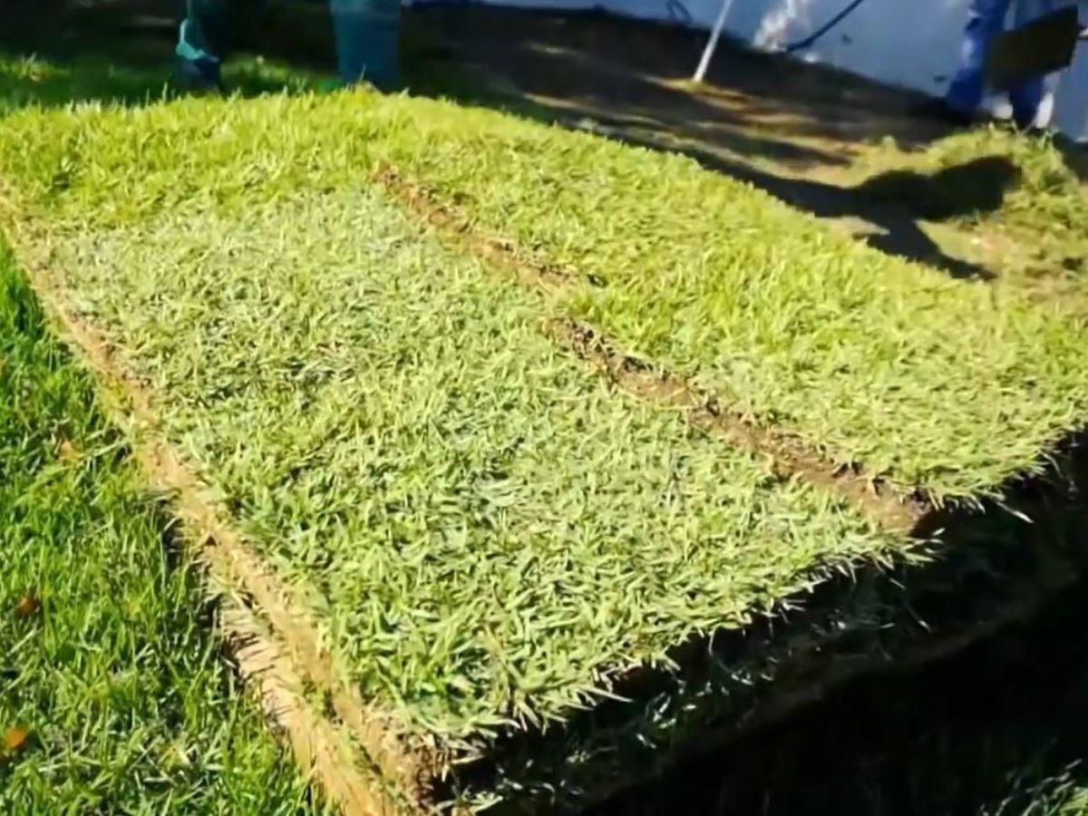 La instalación deportiva contará con engramillado natural. Fotos: Olancho FC