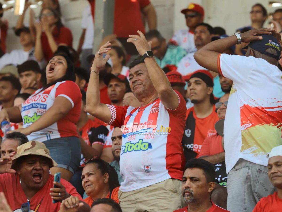 El dardo de Clever Portillo a UPN, la bronca que se armó y la fiesta del Vida tras dar un paso a la salvación