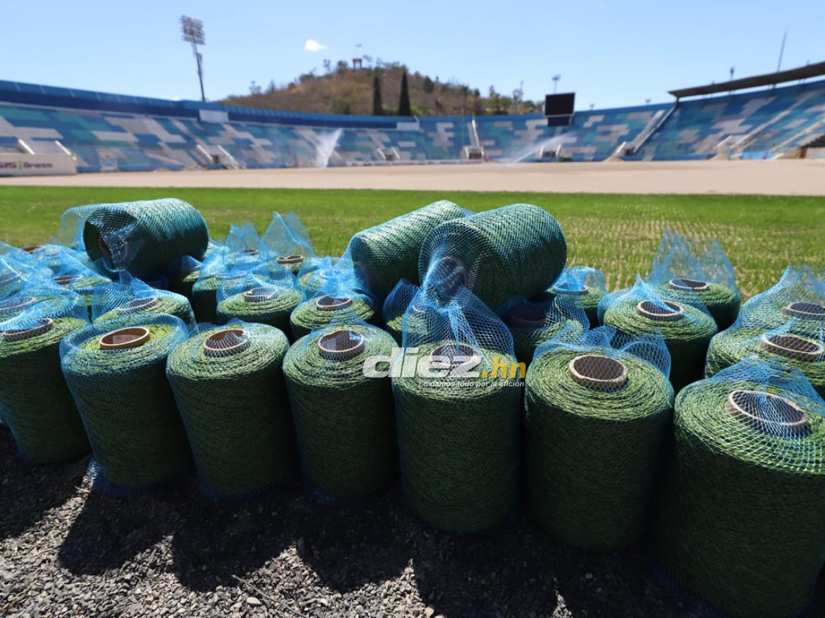 ¡Como mesa de billar! Así avanza la instalación de la nueva grama del Estadio Nacional Chelato Uclés, ¿cuándo quedaría lista?