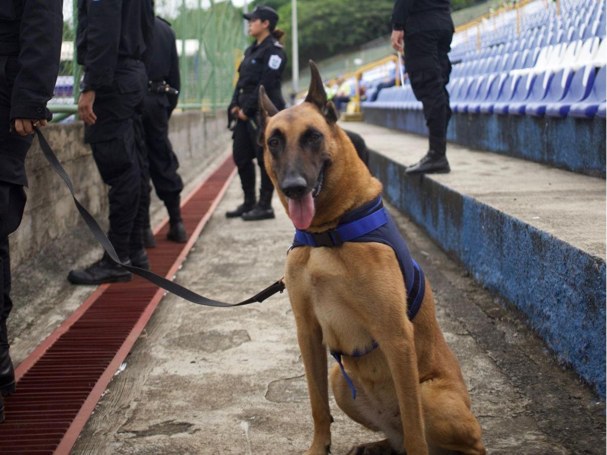 Furor catracho en Managua, la fiesta que prepara Honduras si clasifica al Mundial y chica de Nicaragua roba suspiros