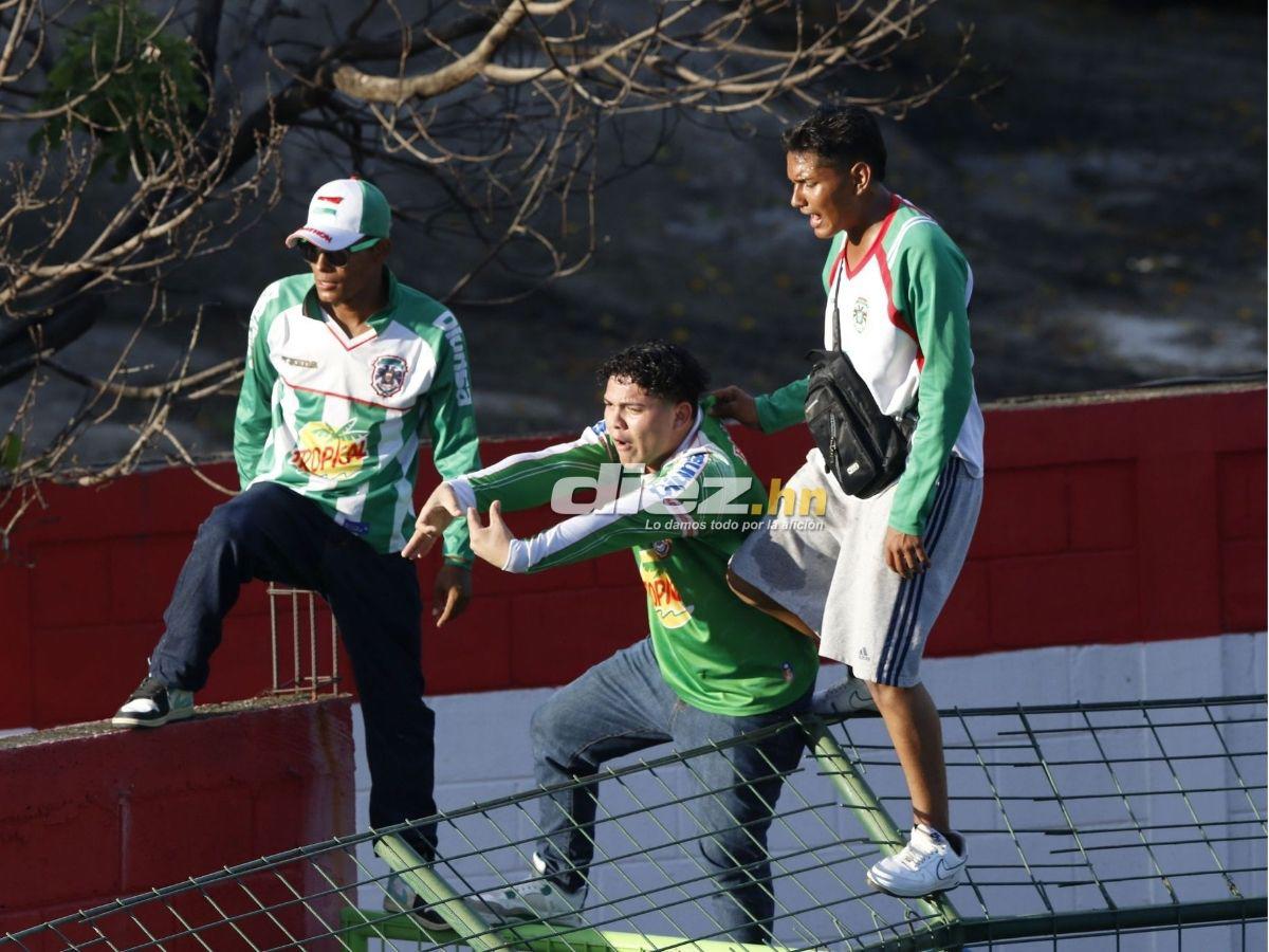 Afición del Marathón explota contra la “Tota” Medina, el debutante en Real España y la chica que cautivó en el Yankel