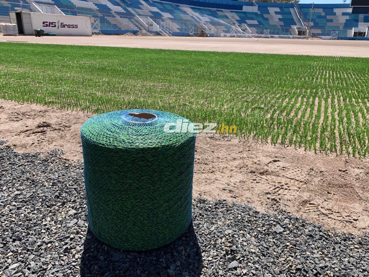 ¡Como mesa de billar! Así avanza la instalación de la nueva grama del Estadio Nacional Chelato Uclés, ¿cuándo quedaría lista?