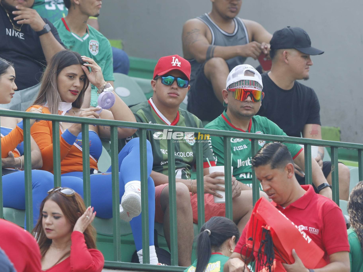 Las bellas aficionadas del Marathón, el Yankel Rosenthal sin “luz” y la espantosa lesión de Clayvin Zúniga