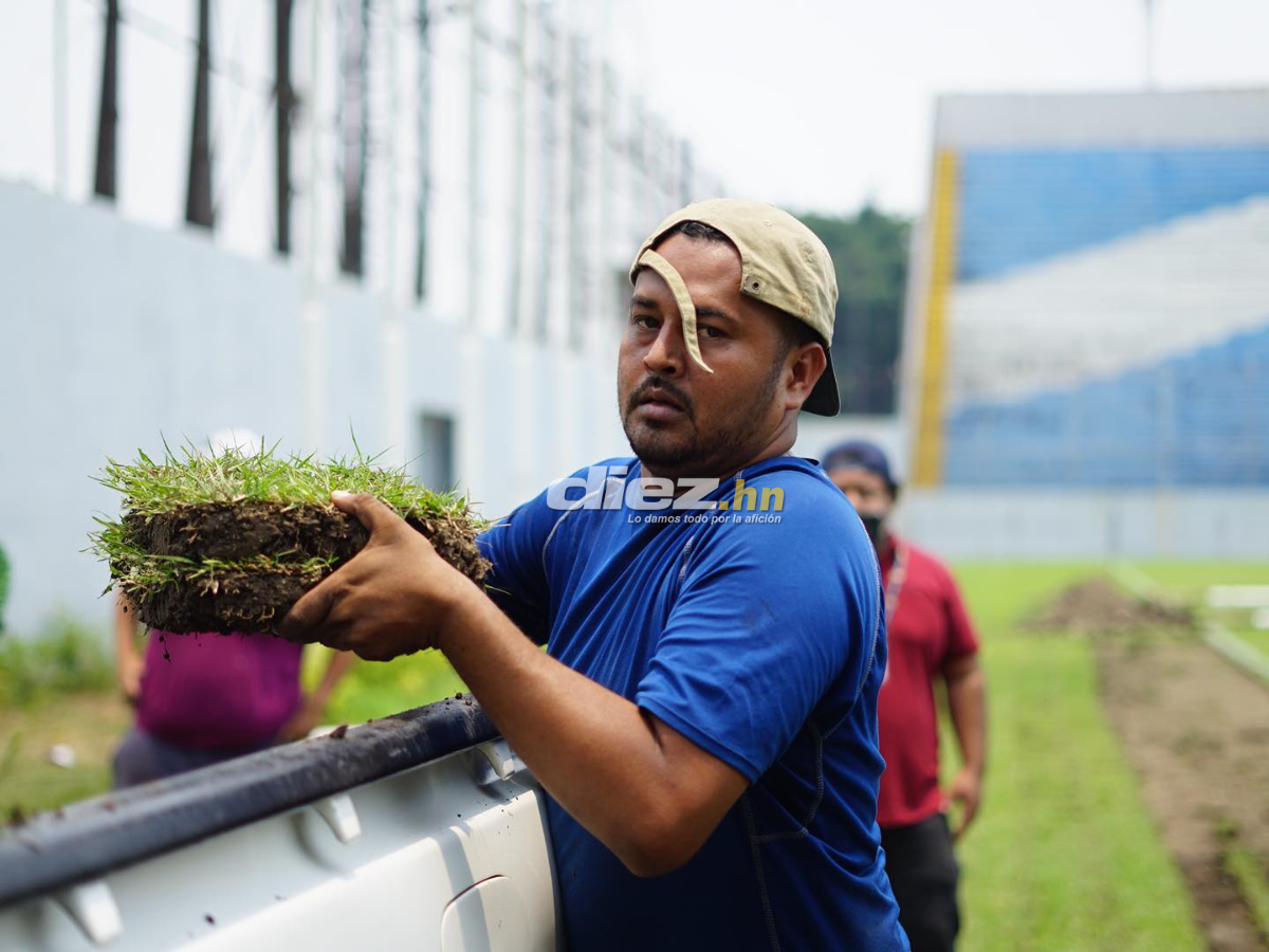 Adiós a la pesadilla: El Estadio Morazán se despide de la grama vieja para instalar engramillado de primer mundo