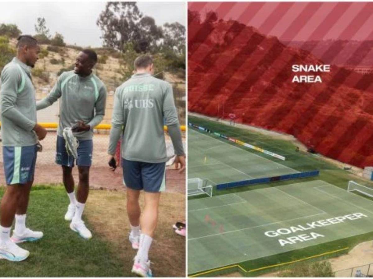 Nuevo problema en el Mundial: selección abandonaría sede por ataque de víboras