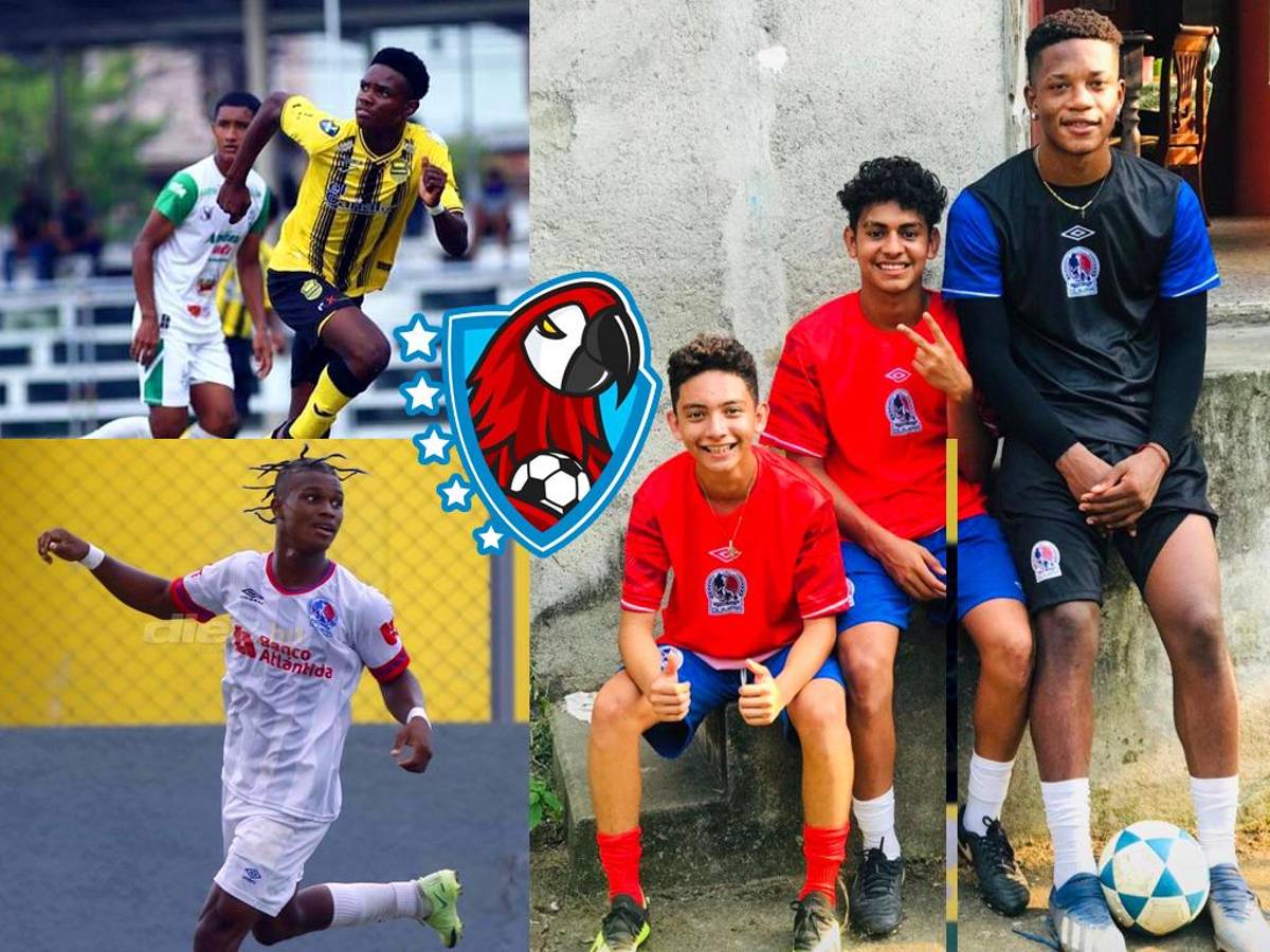 La nueva armada de jugadores isleños que prometen tomarse la Liga Nacional: Uno se marchará al extranjero