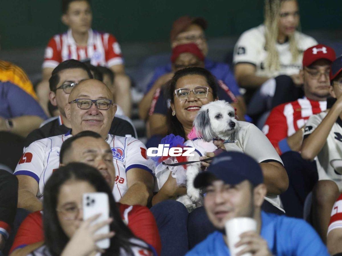 ¿Qué hizo Beckeles? Mascota de Olimpia se roba el show, curiosa iguana en el Morazán y el reencuentro emotivo