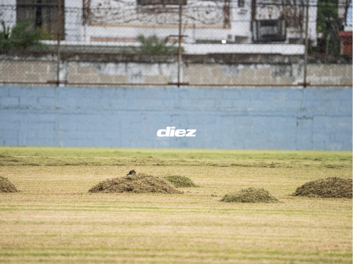 ¡Una belleza! La nueva cara del Estadio Excélsior de Puerto Cortés: Estos son los modernos cambios de la casa del Platense