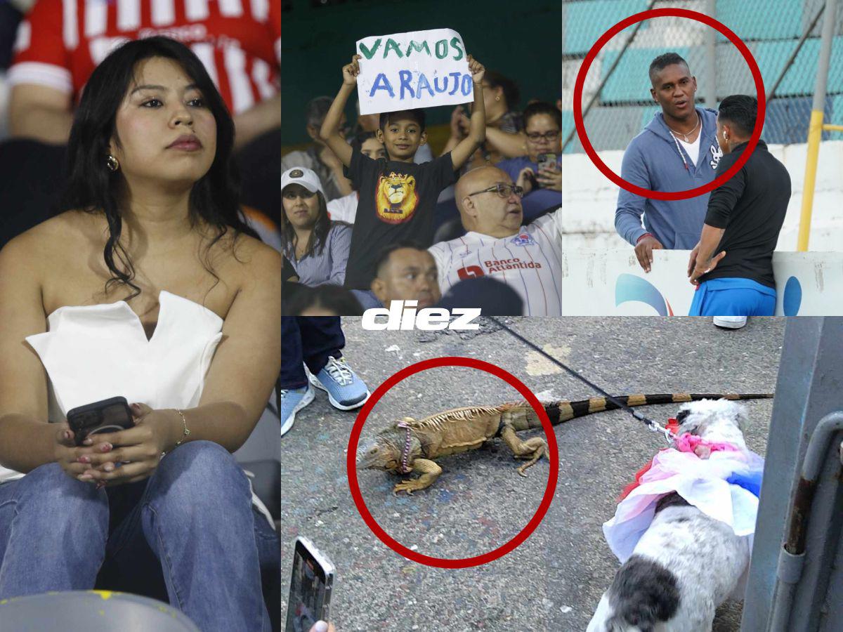 ¿Qué hizo Beckeles? Mascota de Olimpia se roba el show, curiosa iguana en el Morazán y el reencuentro emotivo
