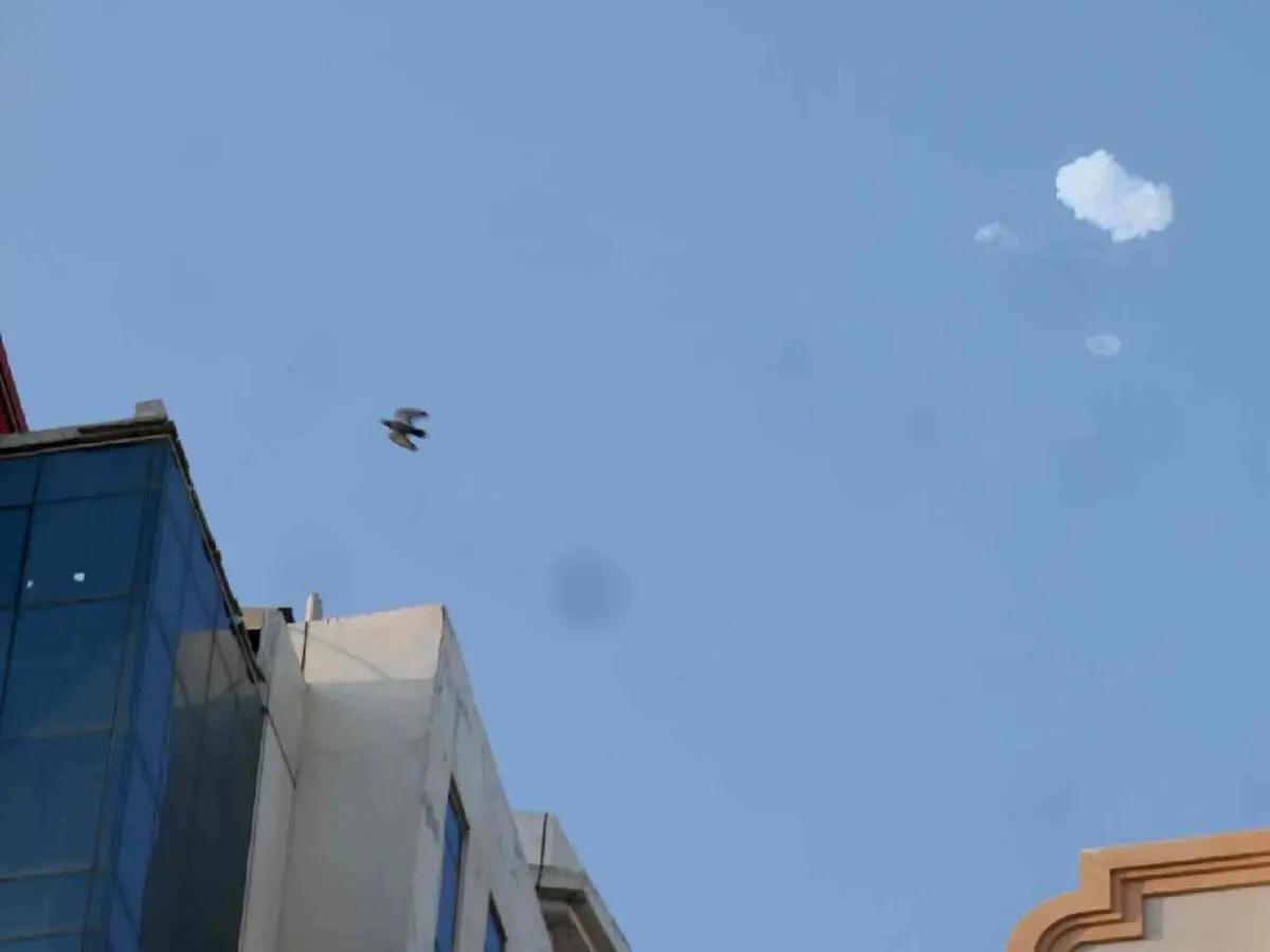 Árbitro de Concacaf vive dura realidad en el conflicto de Medio Oriente y esto informan sobre su estado de salud