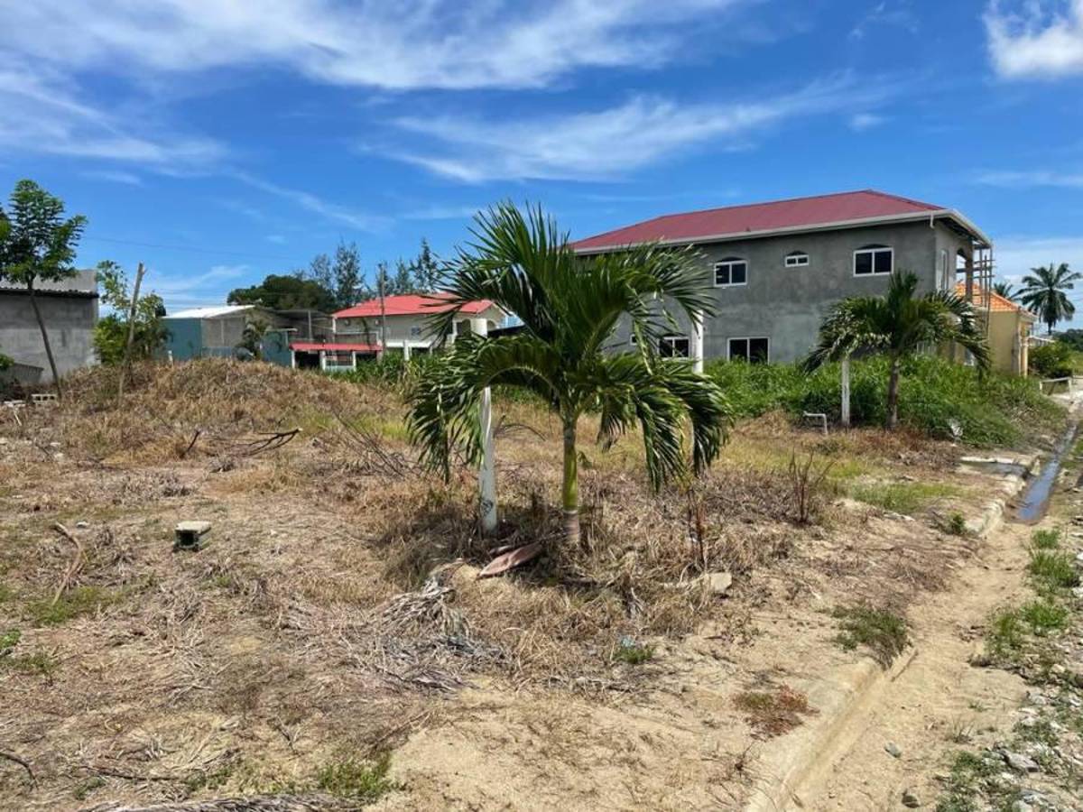 “El Pescado” Bonilla y sus lujos de origen ilícito: Desde grandes terrenos hasta un “smart car”