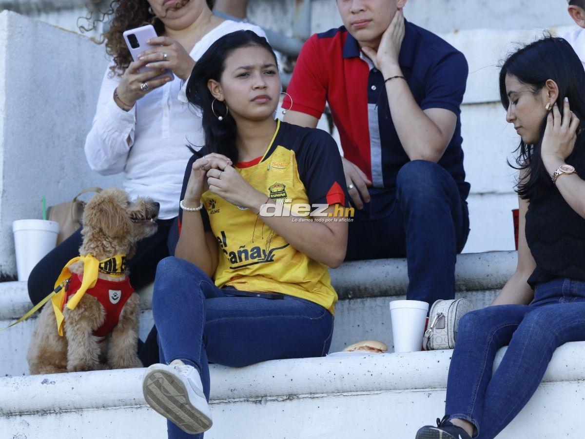 No se vio en TV: Tristeza en Marathón, Real España hizo una fiesta y las bellas chicas que se robó las miradas en el clásico