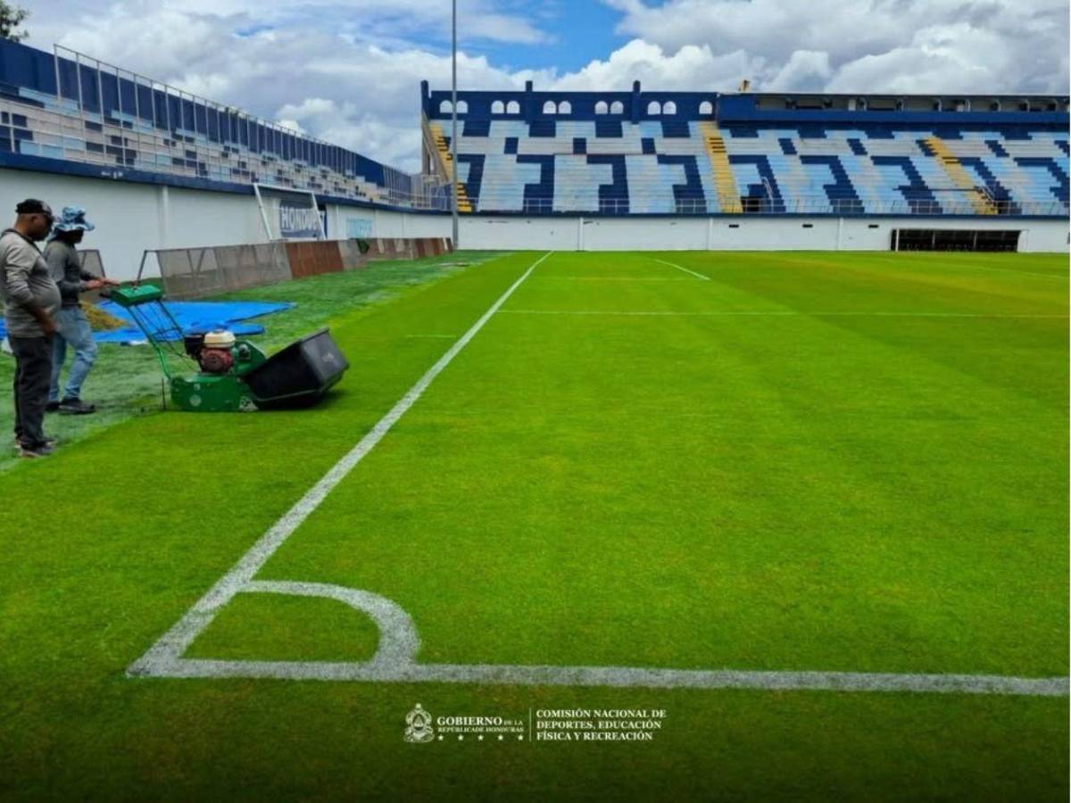 CONDEPOR impulsa capacitación técnica para preservar cancha del Brevé