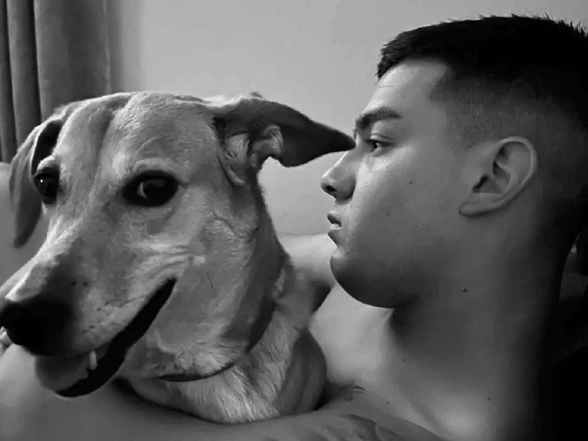 Así quedó el auto donde murió un árbitro, la causa del accidente y el desgarrador mensaje de su novia: Me arrancaste...