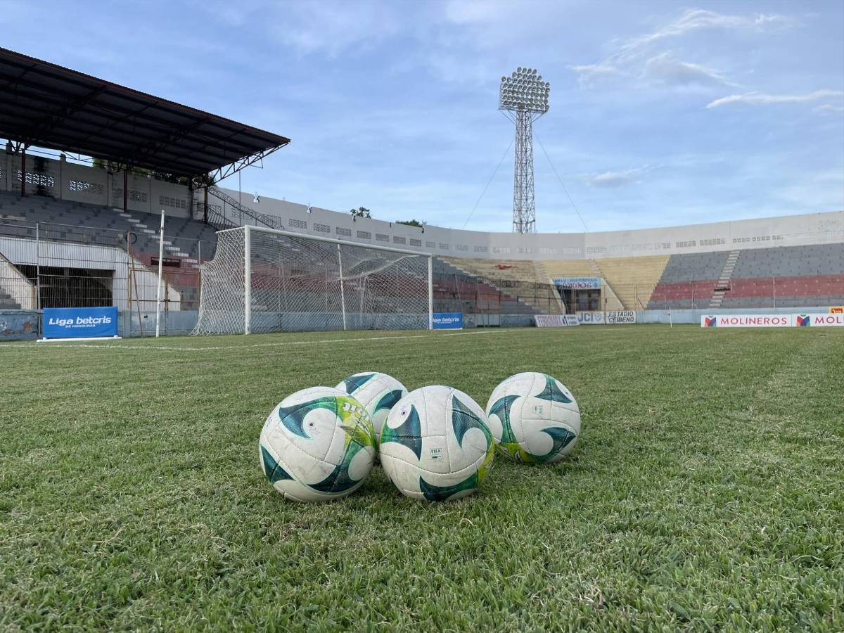 ¿Qué pasa con el Olímpico? Honduras tendrá dos estadios más con grama híbrida; estos son los descartados