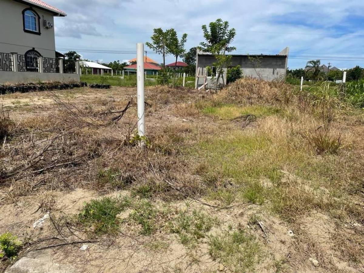 “El Pescado” Bonilla y sus lujos de origen ilícito: Desde grandes terrenos hasta un “smart car”