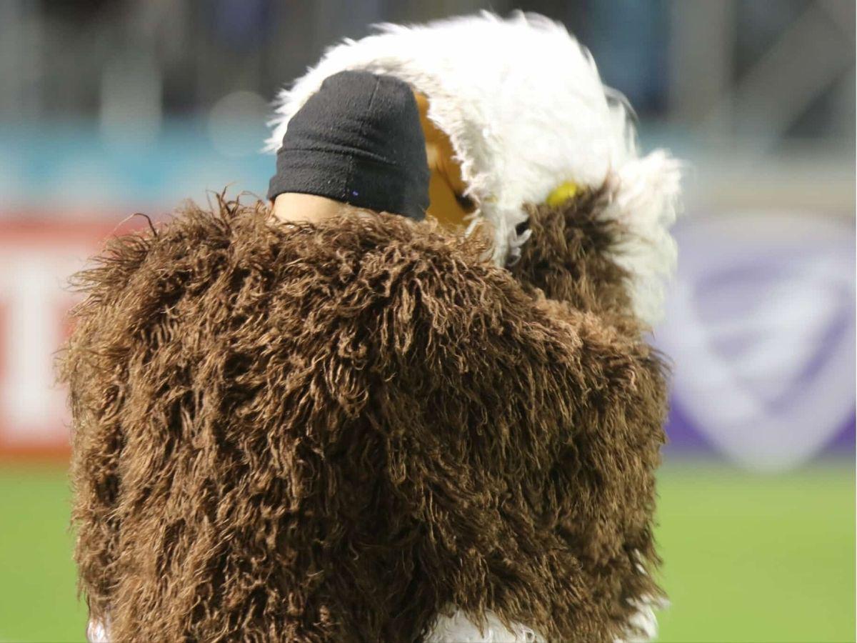 ¡Bailada al Motagua! Las imágenes de la humillante derrota del Ciclón ante Real España en el Nacional