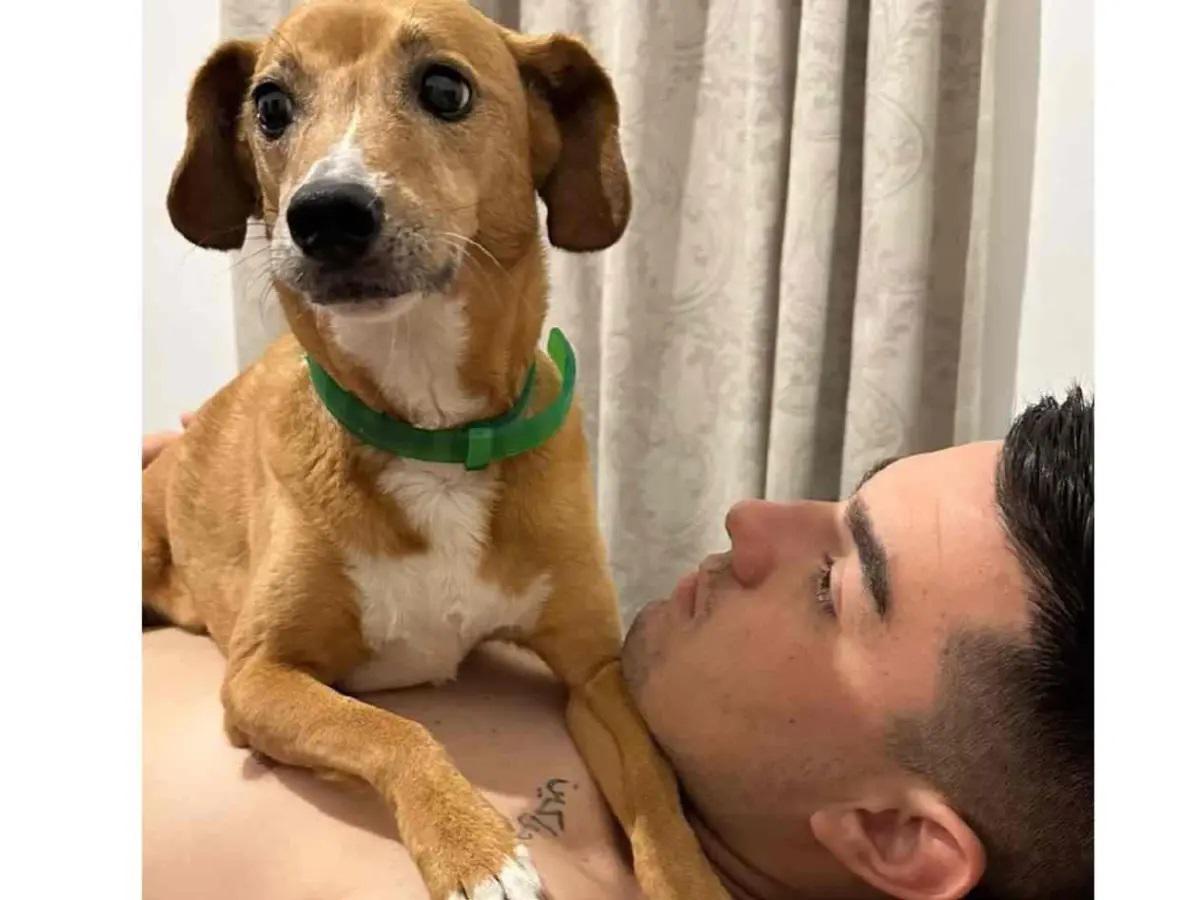 Así quedó el auto donde murió un árbitro, la causa del accidente y el desgarrador mensaje de su novia: Me arrancaste...