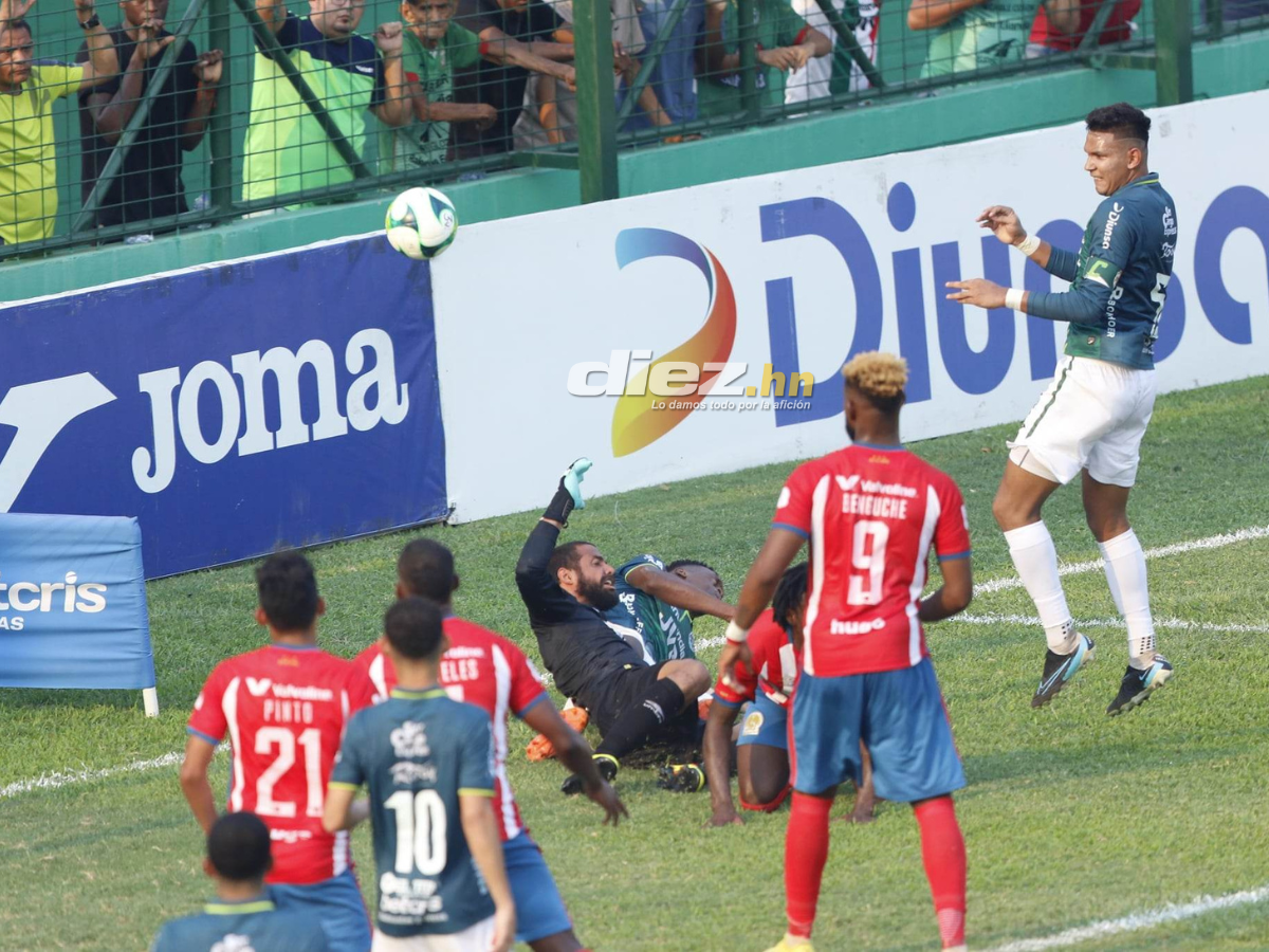 Las bellas aficionadas del Marathón, el Yankel Rosenthal sin “luz” y la espantosa lesión de Clayvin Zúniga