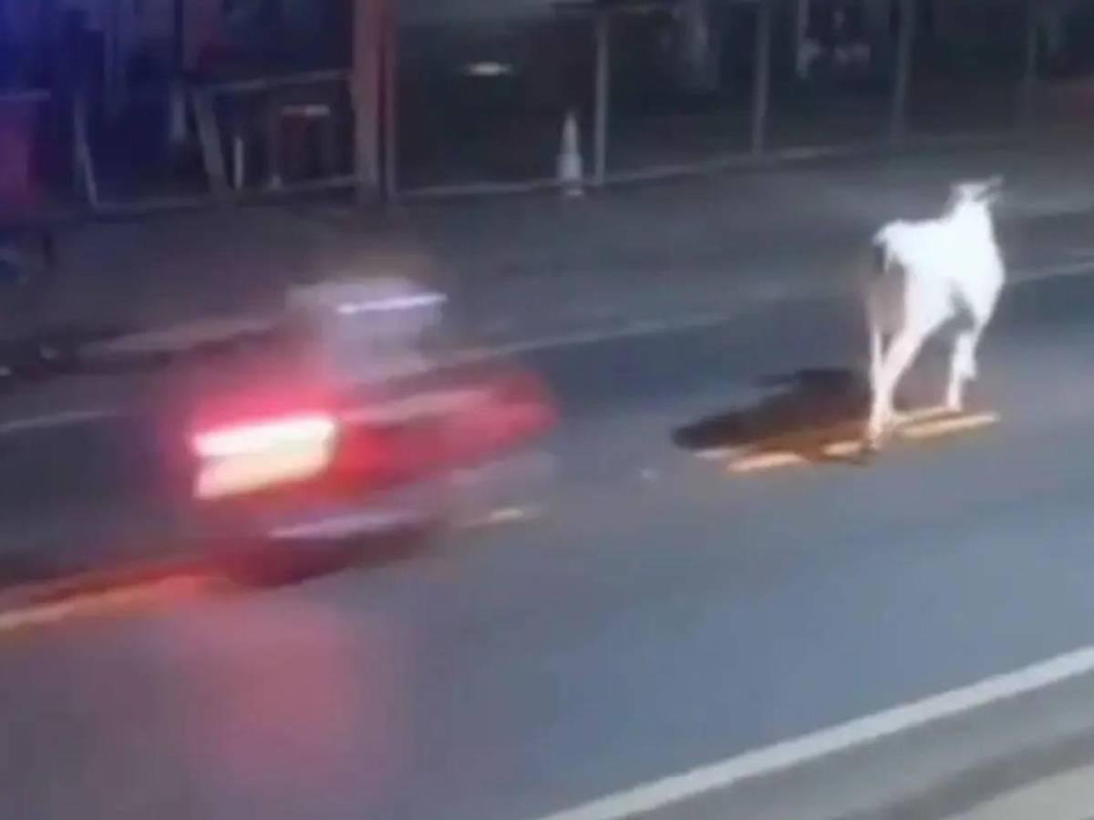 Venía de celebrar el cumpleaños de su padre y murió de la peor forma: así fue captado el momento de su deceso