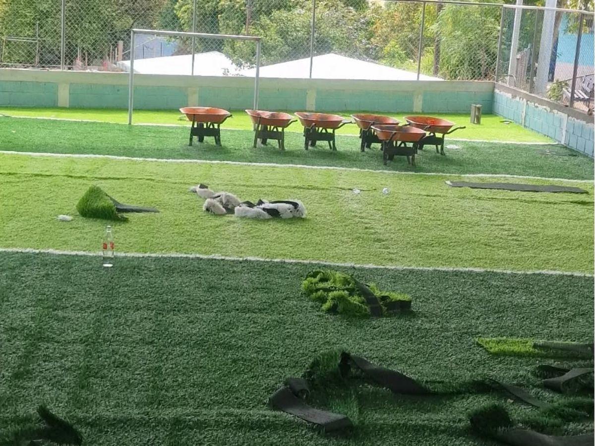 Condepor arranca con la instalación de la grama sintética en la cancha Dientes de Leche