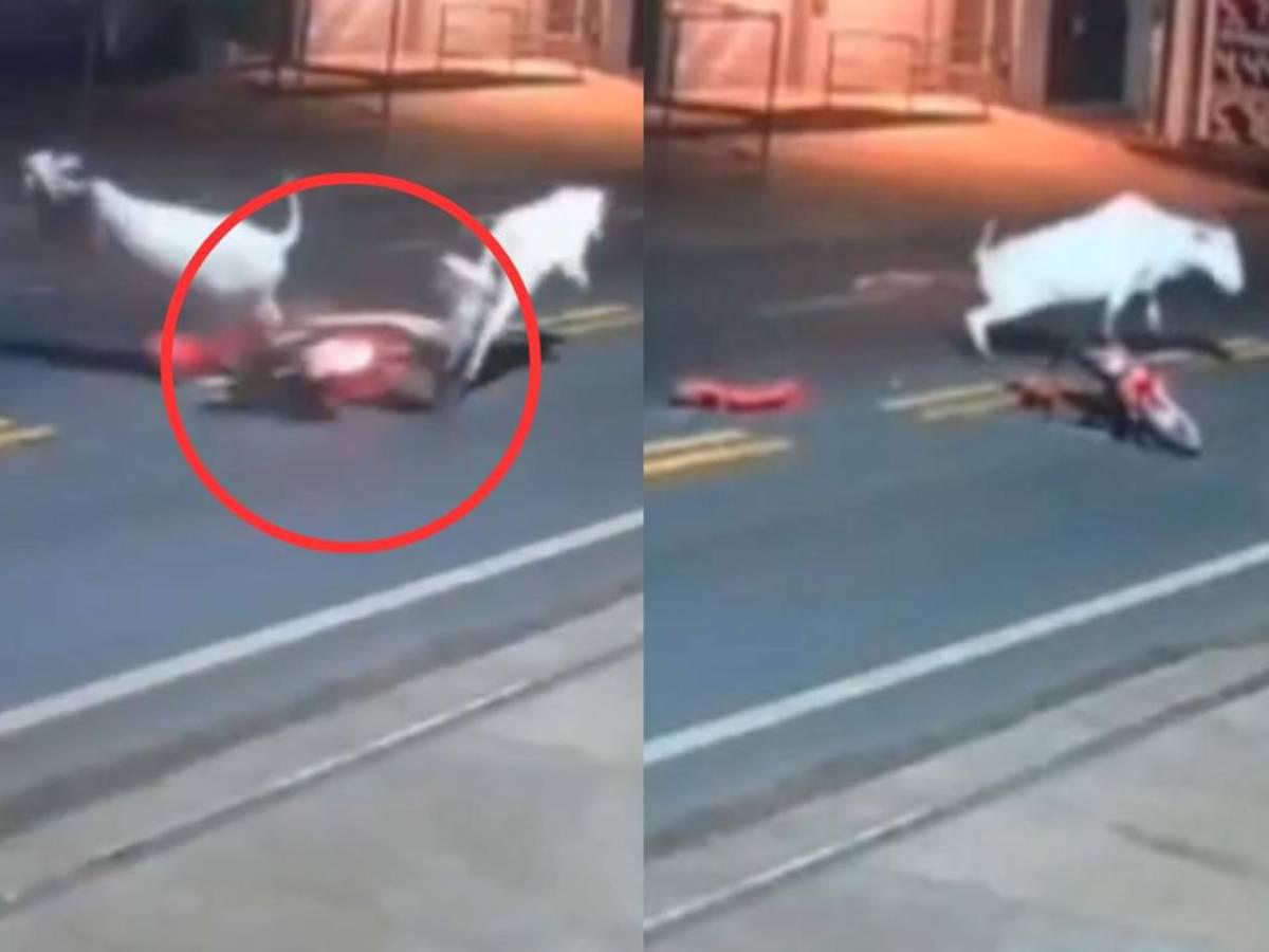 Venía de celebrar el cumpleaños de su padre y murió de la peor forma: así fue captado el momento de su deceso