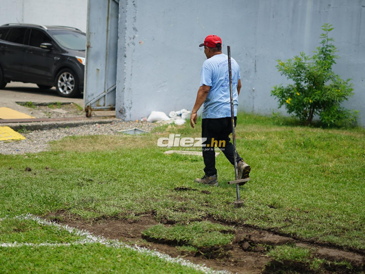 Adiós a la pesadilla: El Estadio Morazán se despide de la grama vieja para instalar engramillado de primer mundo