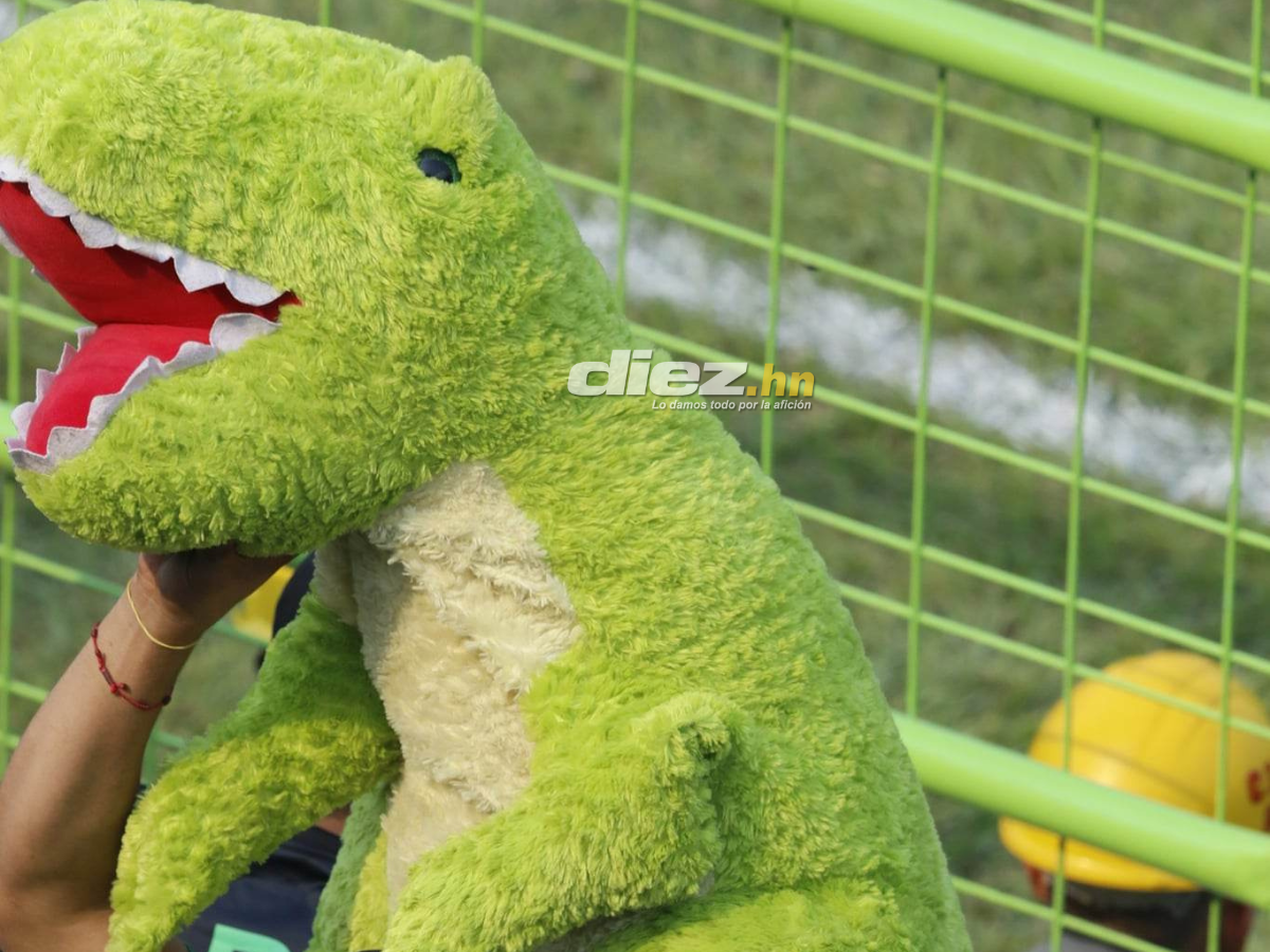 Las bellas aficionadas del Marathón, el Yankel Rosenthal sin “luz” y la espantosa lesión de Clayvin Zúniga