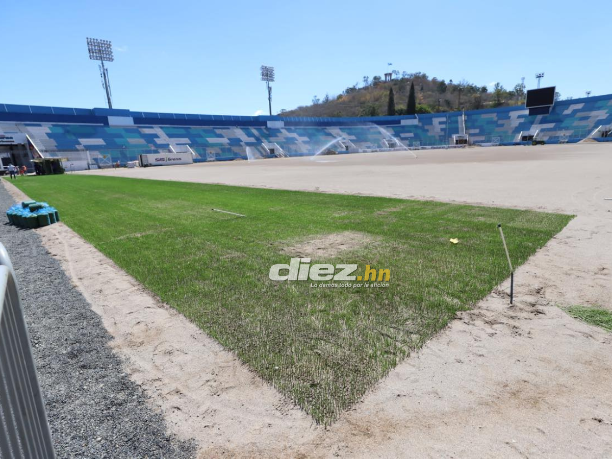 ¡Como mesa de billar! Así avanza la instalación de la nueva grama del Estadio Nacional Chelato Uclés, ¿cuándo quedaría lista?