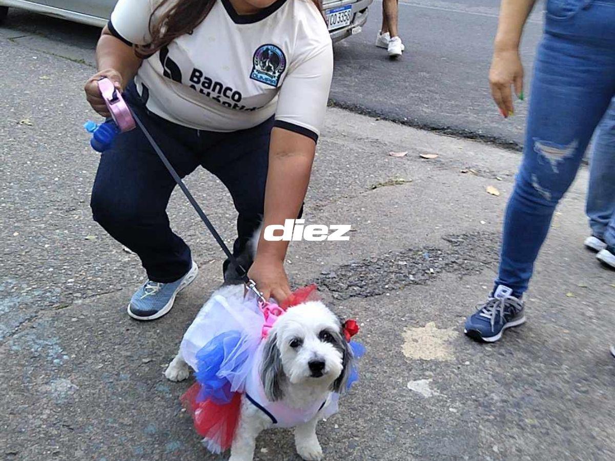 ¿Qué hizo Beckeles? Mascota de Olimpia se roba el show, curiosa iguana en el Morazán y el reencuentro emotivo