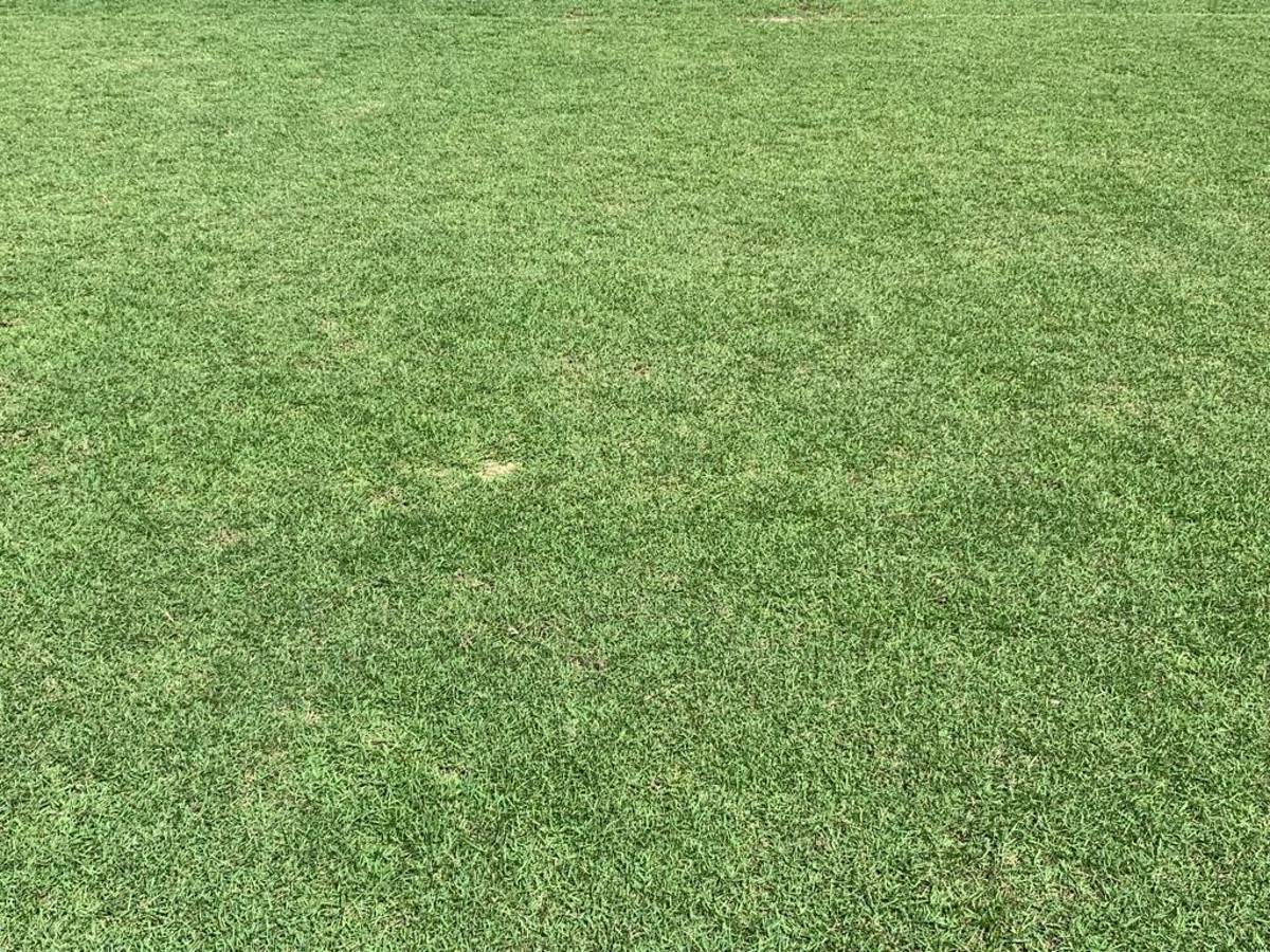 Así es en la intimidad el estadio Olímpico Félix Sánchez de República Dominicana donde Honduras jugará por Nations League