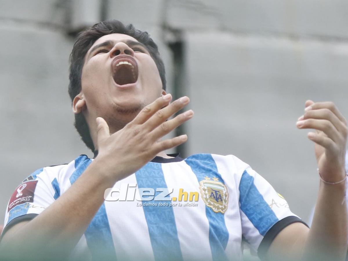 ¡Monumental sufrimiento! Desde el Yankel para el Mundo, el aficionado ...