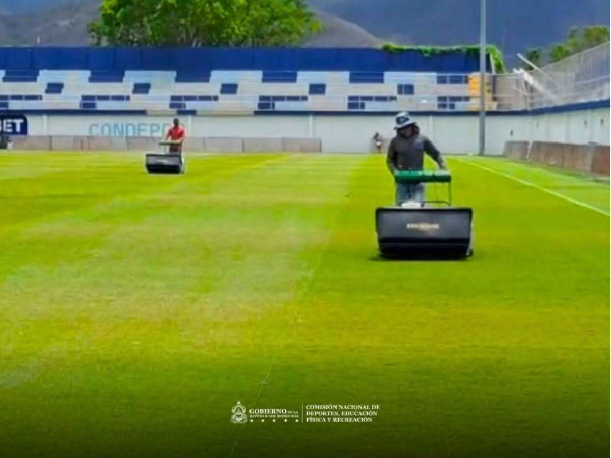 CONDEPOR impulsa capacitación técnica para preservar cancha del Brevé
