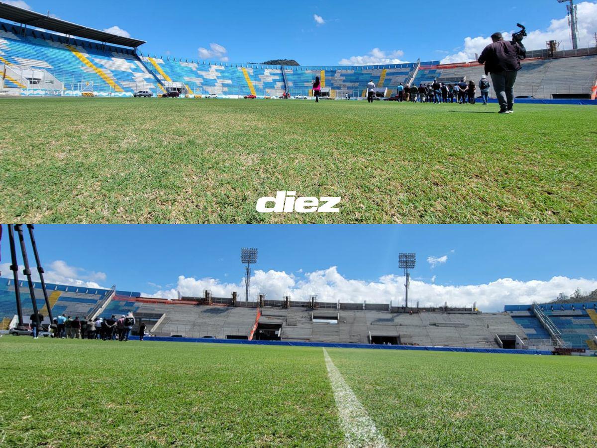 ¡Revelado! Mario Moncada confirma dos tipos de plagas en el césped del Estadio Nacional Chelato Uclés