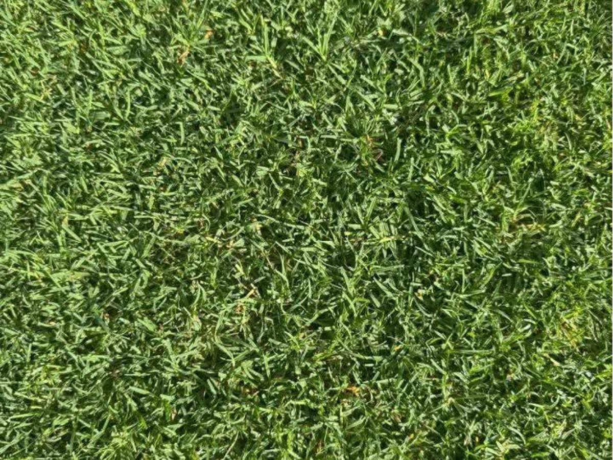 ¡Una mesa de billar! Muestras imágenes de los últimos detalles de remodelación del Estadio Juan Ramón Brevé