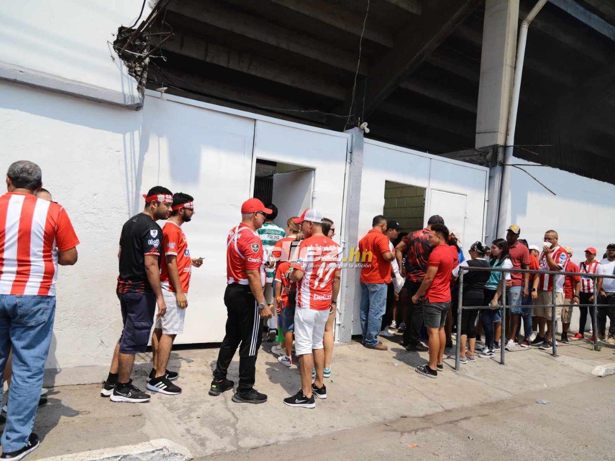 Marea Roja en La Ceiba, bellas hinchas del Vida invaden y aficionado se roba el show con extraño vestuario
