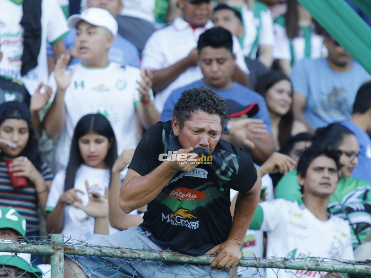 Zafarrancho en el Estadio Excélsior: Las fotos de la bronca en el Platense-Independiente en la semifinal de ida en Liga de Ascenso