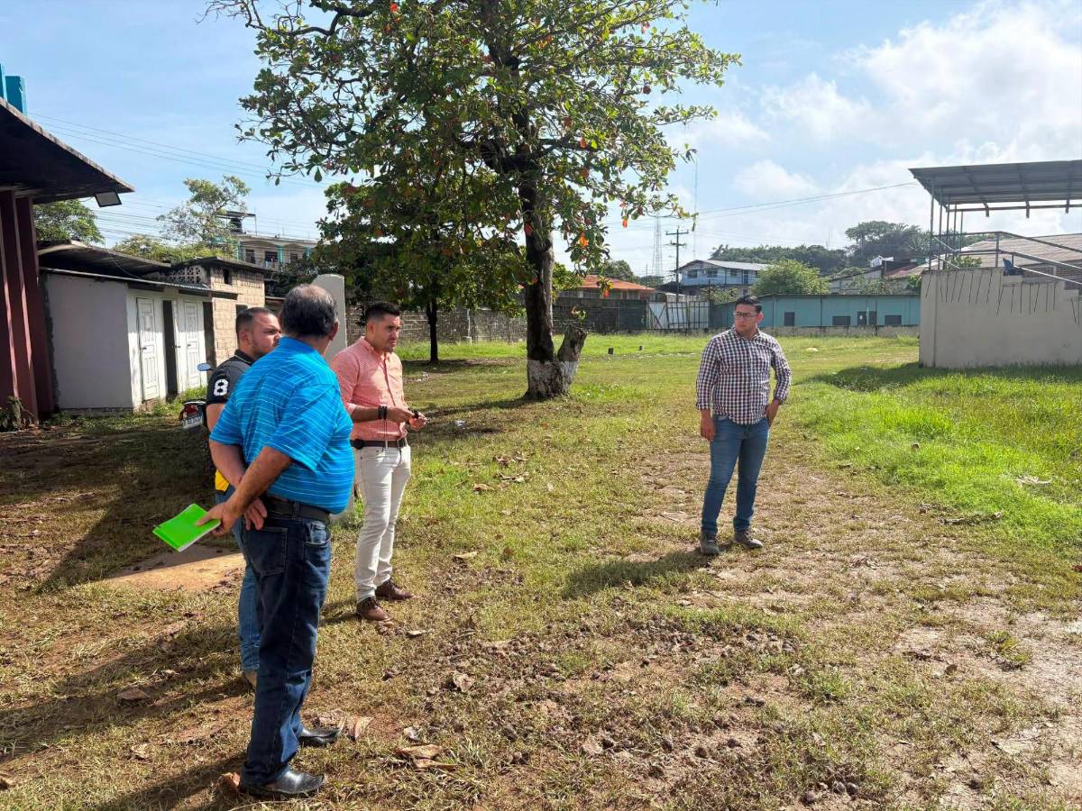 Estadio Alfredo León renacerá: anuncian remodelación con nuevo engramillado
