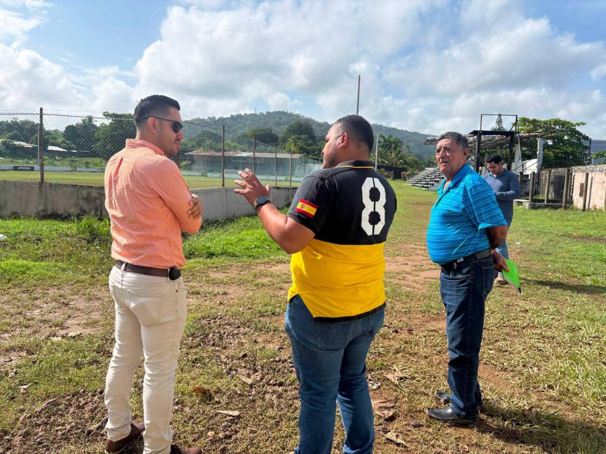 Estadio Alfredo León renacerá: anuncian remodelación con nuevo engramillado