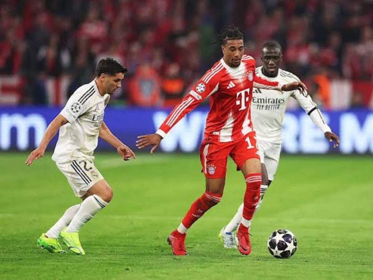 Olise sueña con el Real Madrid: revelan la millonaria cifra que pide el Bayern