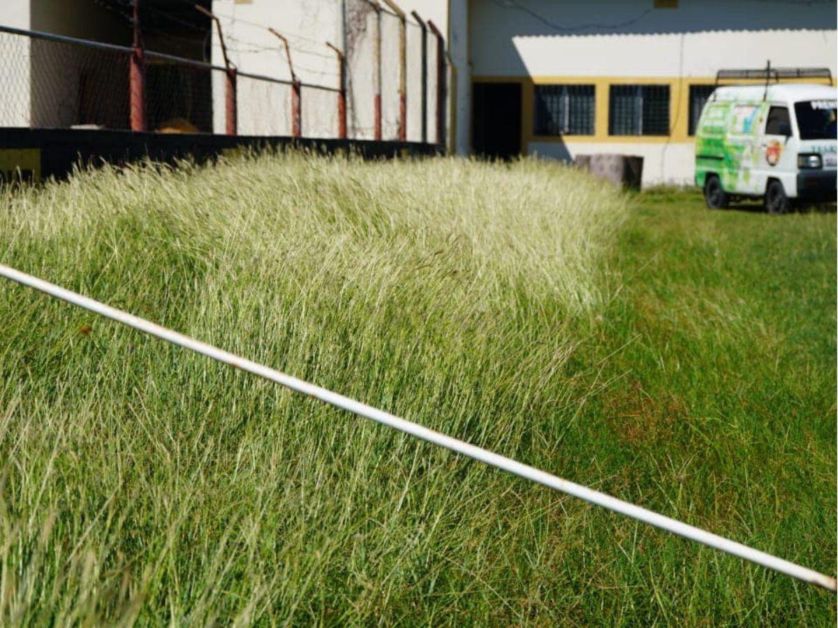 Condepor le mete mano a histórico estadio de Honduras que estaba en el abandono: estas serán sus remodelaciones