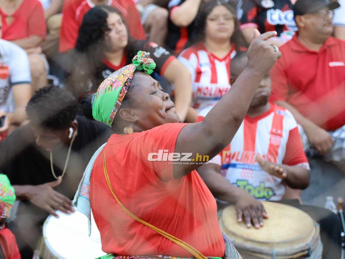 El dardo de Clever Portillo a UPN, la bronca que se armó y la fiesta del Vida tras dar un paso a la salvación