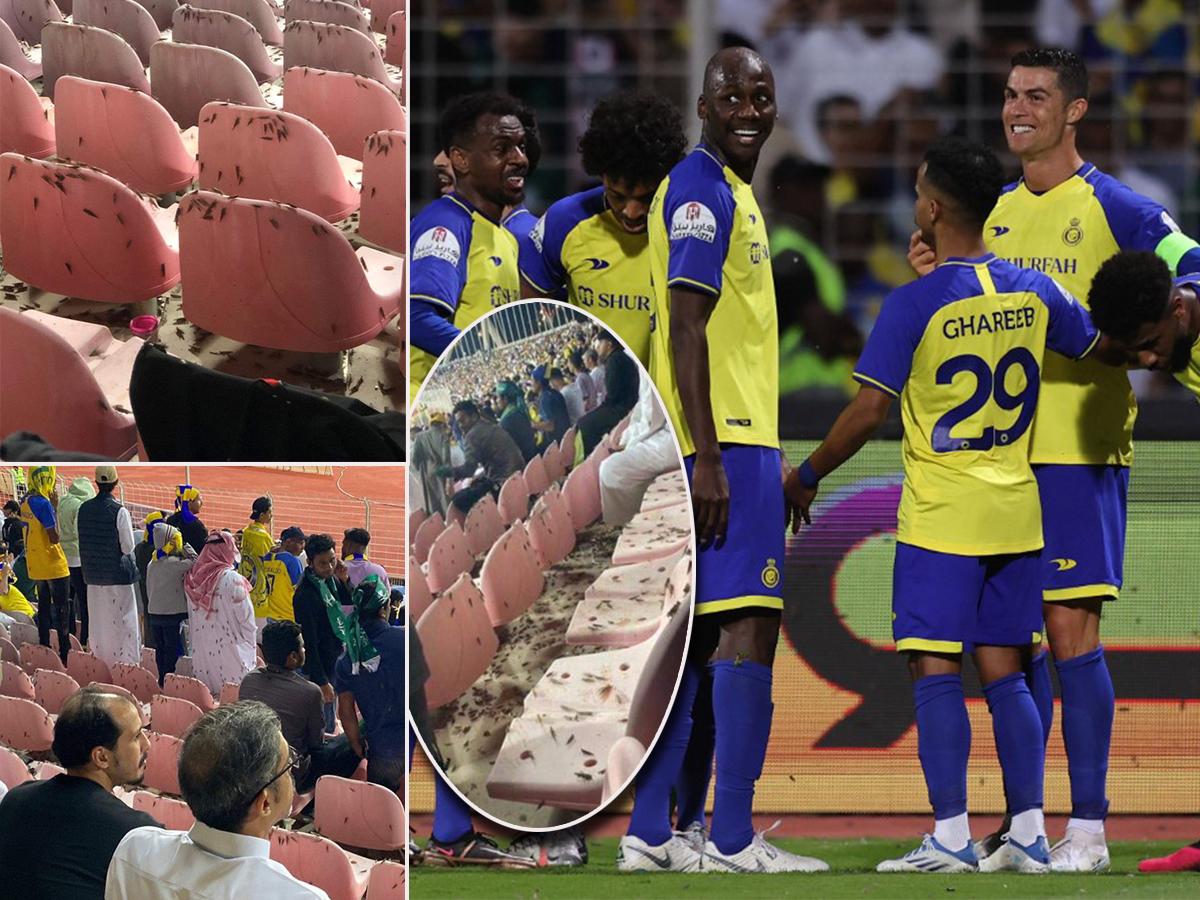 Lo que nadie vio del partido de Cristiano Ronaldo y ya se hizo viral: “Hasta los bichos quieren ver al Bicho... Es demasiado”