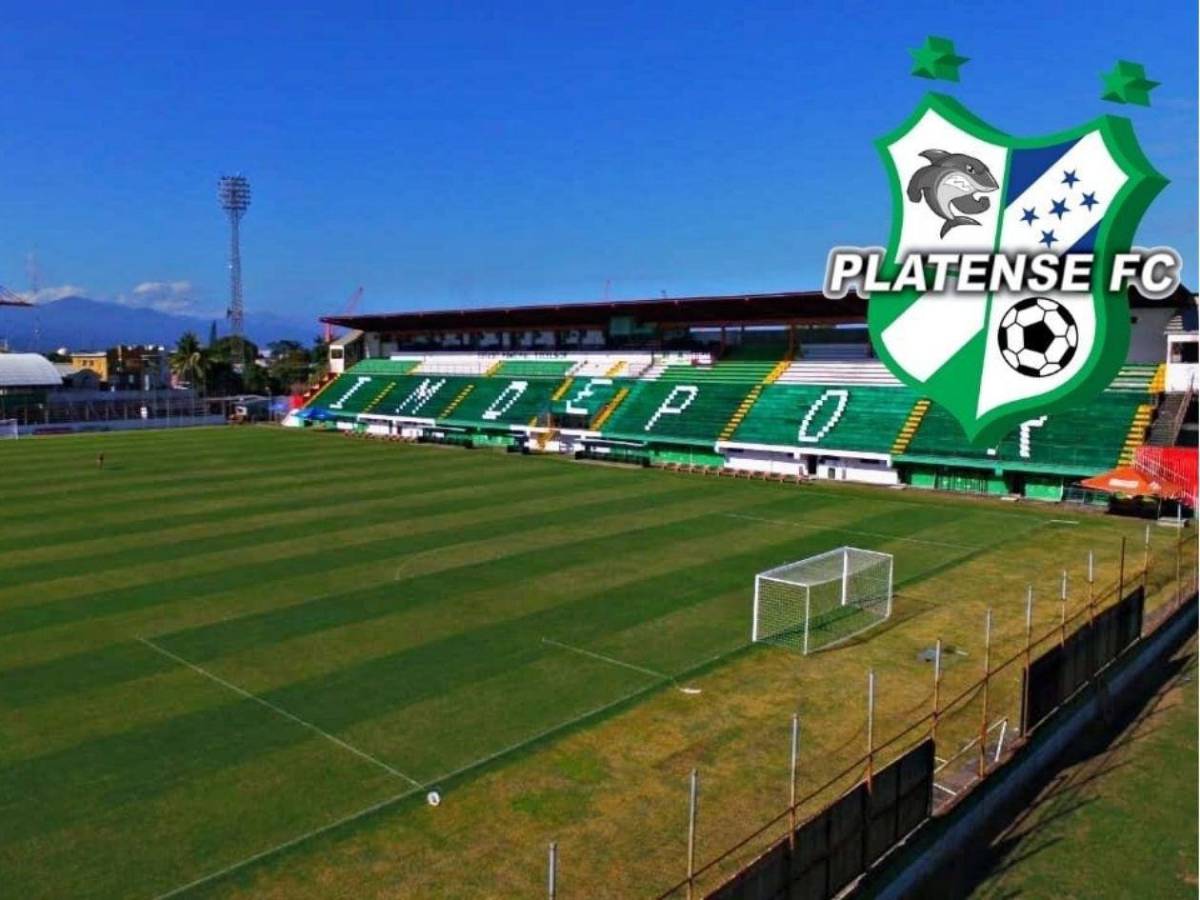 ¡El Estadio Excélsior se transforma! Instalan modernas butacas
