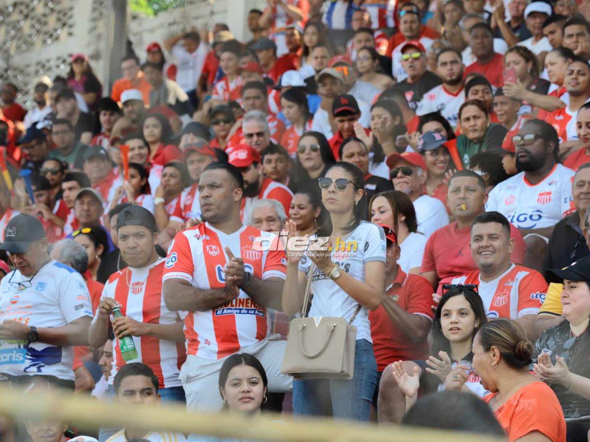 El dardo de Clever Portillo a UPN, la bronca que se armó y la fiesta del Vida tras dar un paso a la salvación