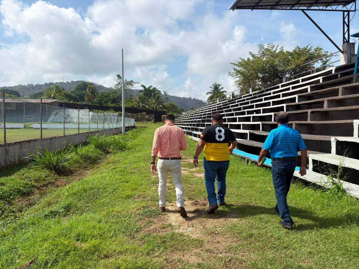 Estadio Alfredo León renacerá: anuncian remodelación con nuevo engramillado